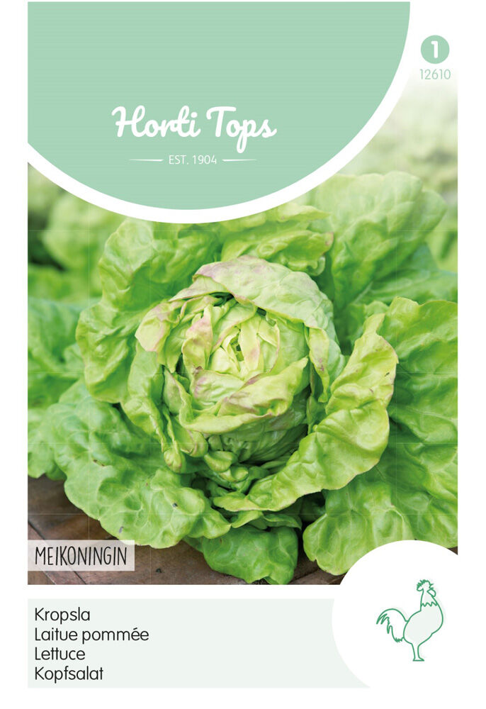 Hortitops Kropsla Lactuca sativa Meikoningin - Groentezaden Hortitops Kropsla Lactuca sativa Meikoningin - Groentezaden