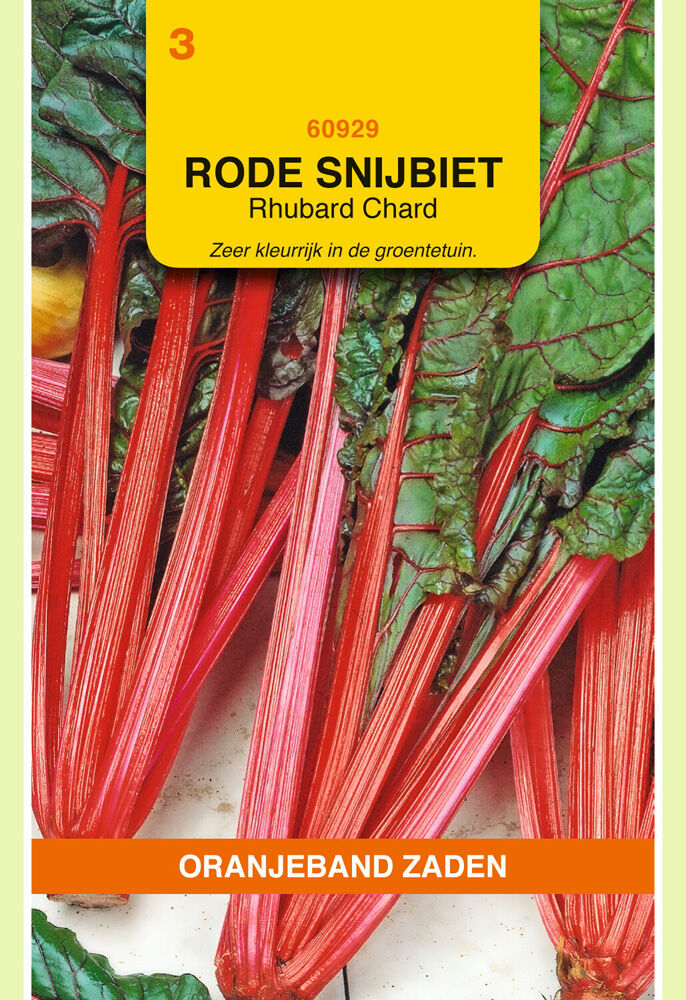 Oranjeband zaden Snijbiet Rhubarb Chard - Groentezaden Oranjeband zaden Snijbiet Rhubarb Chard - Groentezaden