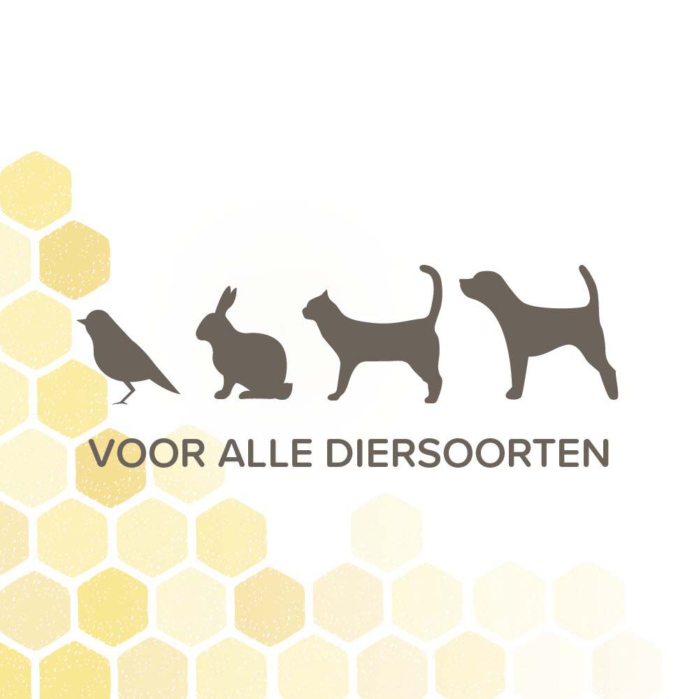 Beaphar Derma+ spray - Wondverzorging Hond - 75