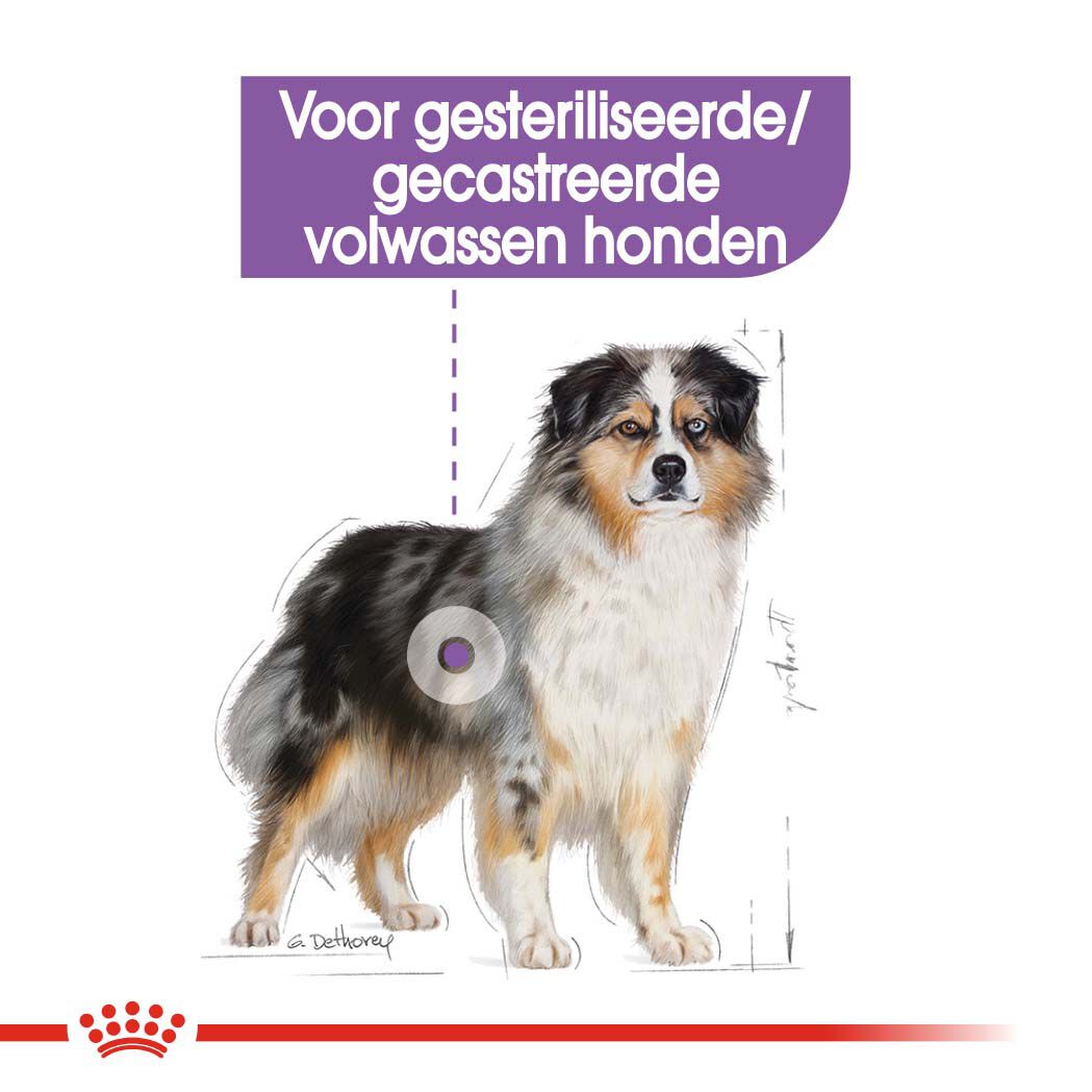 Royal Canin Sterilised Medium  Adult - Hondenvoer - 12 - gevogelte