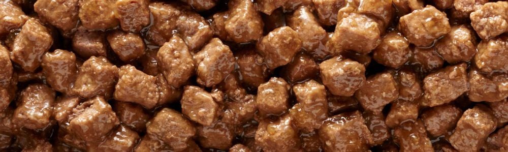 Rokus Adult - Hondenvoer - 415 - lam