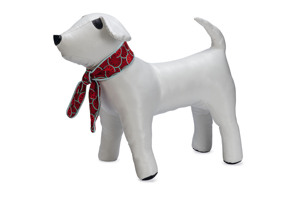 Beeztees Quick Cooler Meloenie - Halsband Hond - rood - S