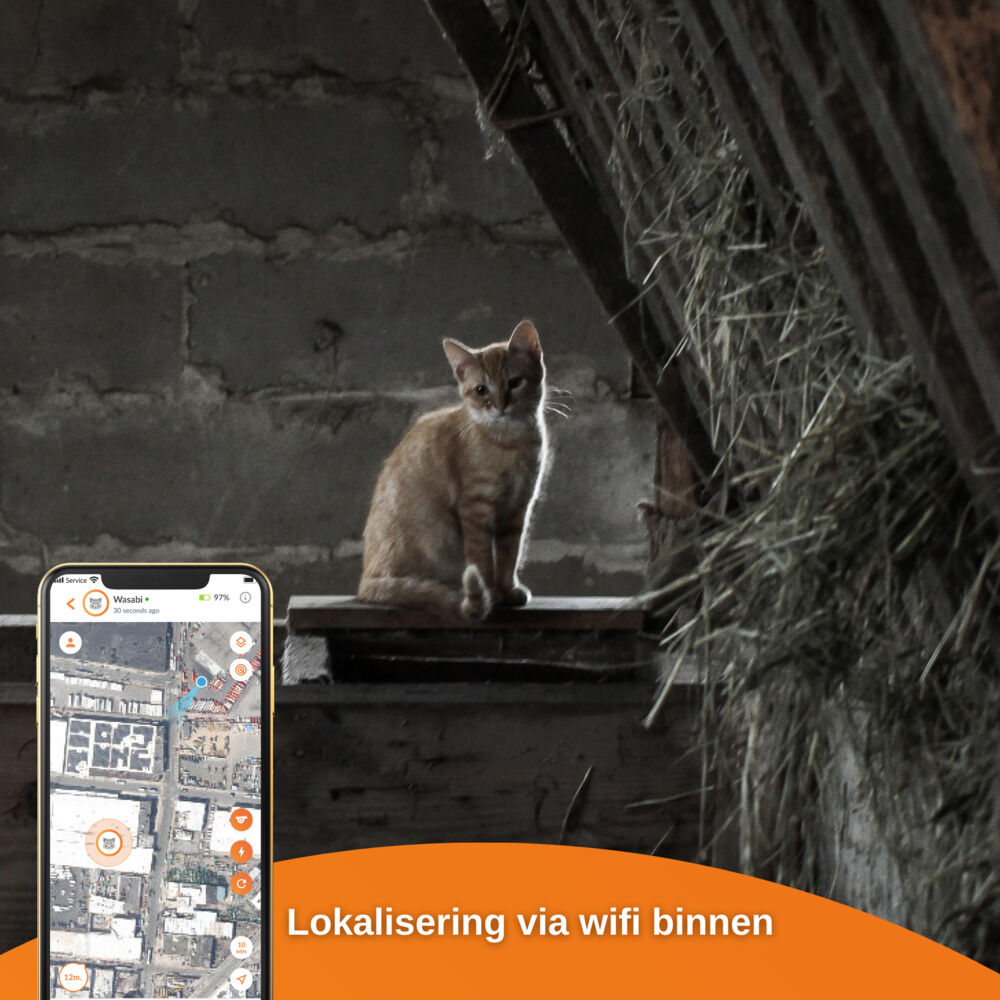 Weenect XS - GPS Tracker Kat - 12.30 cm - Wit/Oranje - 6.00 cm - 3.00 cm