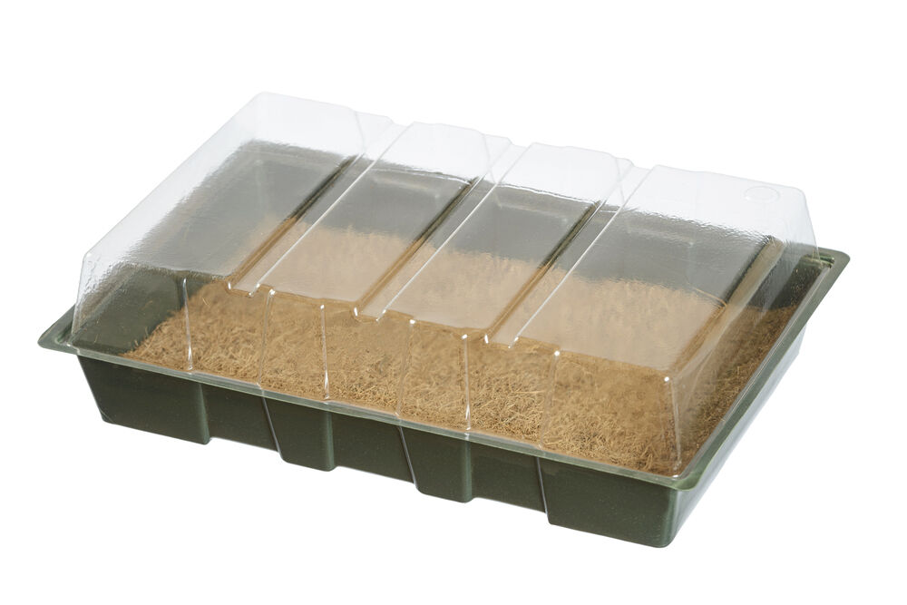 Nature - Mini Kweekkas met kokosmat 35,5x23,5x11 cm Nature - Mini Kweekkas met kokosmat 35,5x23,5x11 cm
