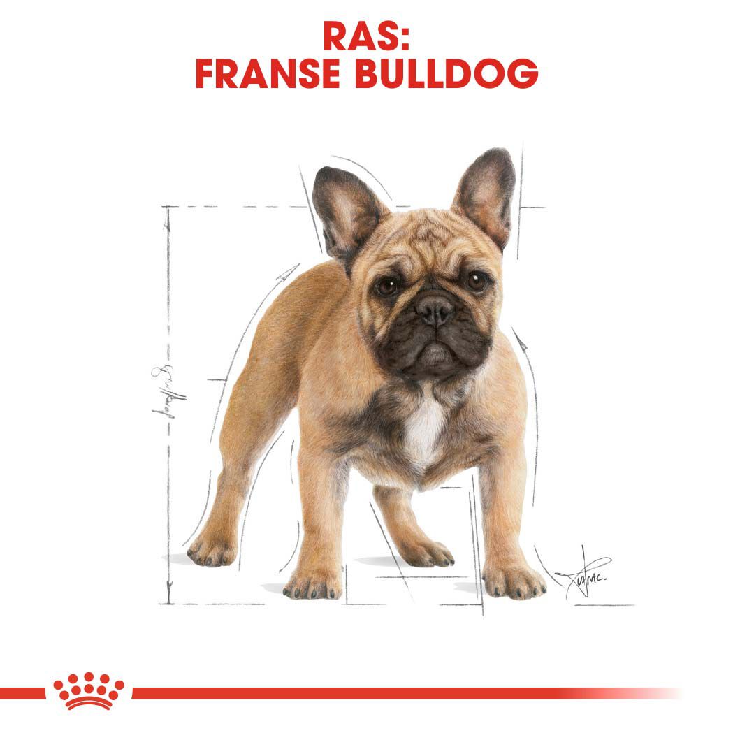 Royal Canin Franse Bulldog Adult - Hondenvoer - 3 - gevogelte