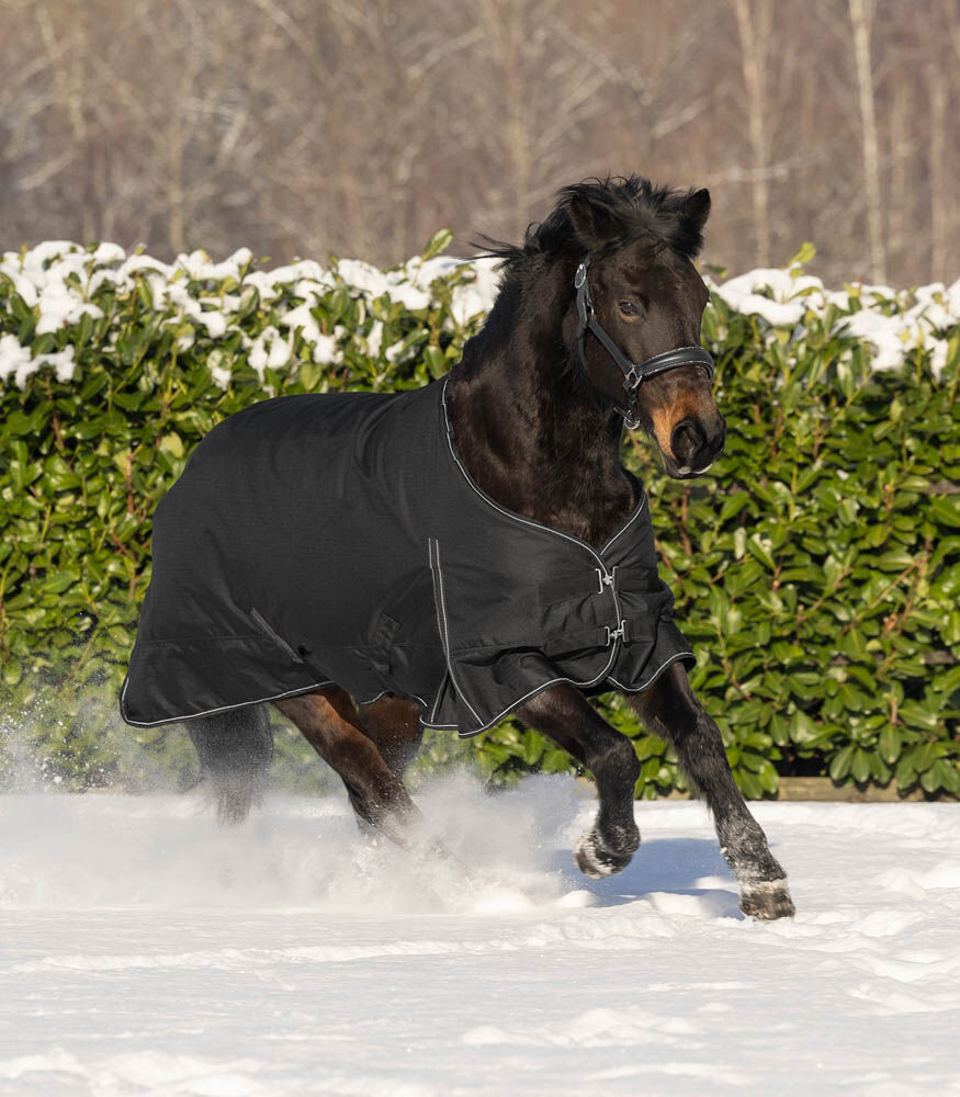 Waldhausen Nordic Light - Winterdeken - 60.00 cm - Zwart - 45.00 cm - 125/175 - 7.00 cm