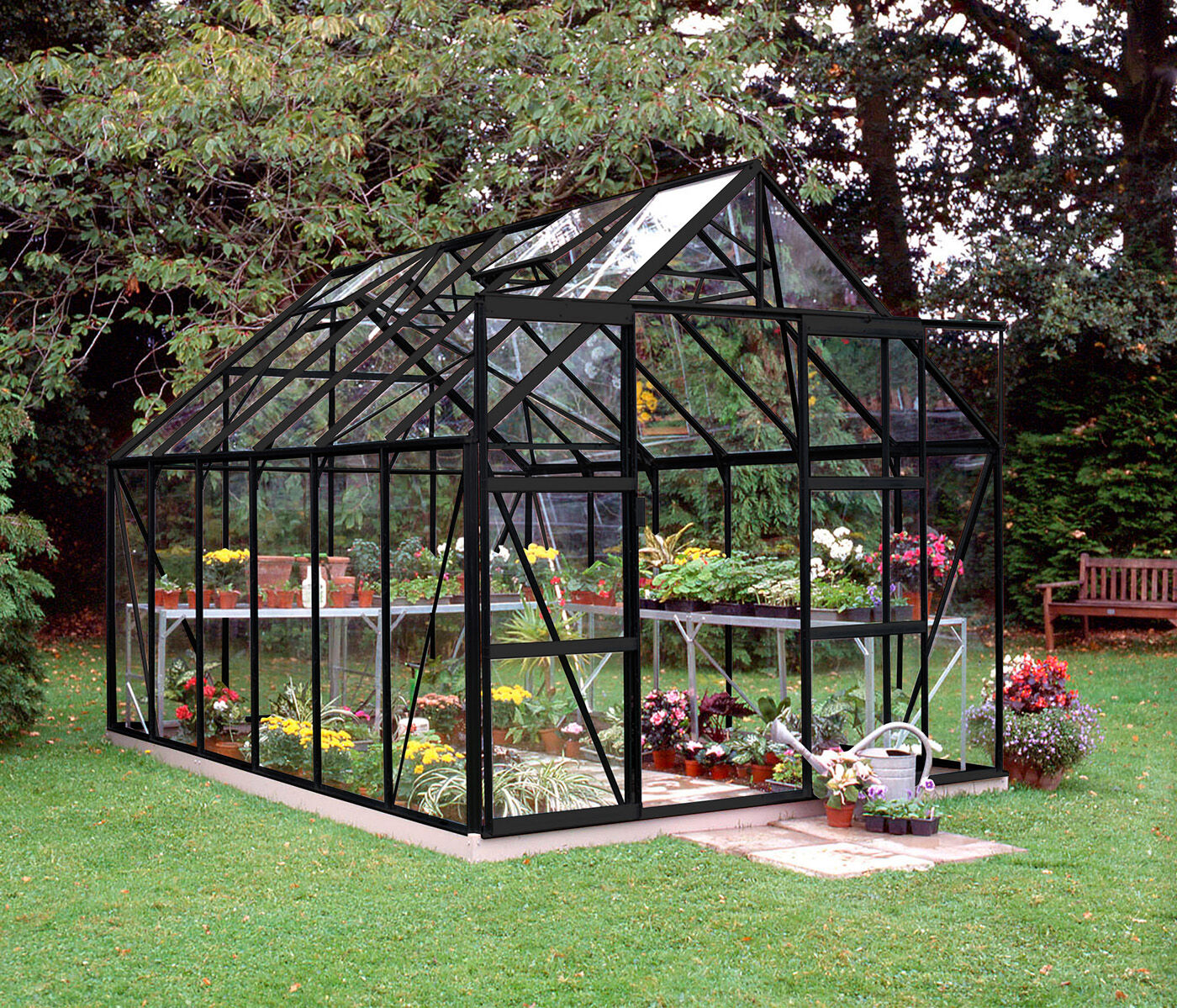 Halls Magnum 128 - Tuinkas - 258.00 cm - Zwart - Veiligheidsglas - 257.00 cm - 384.00 cm