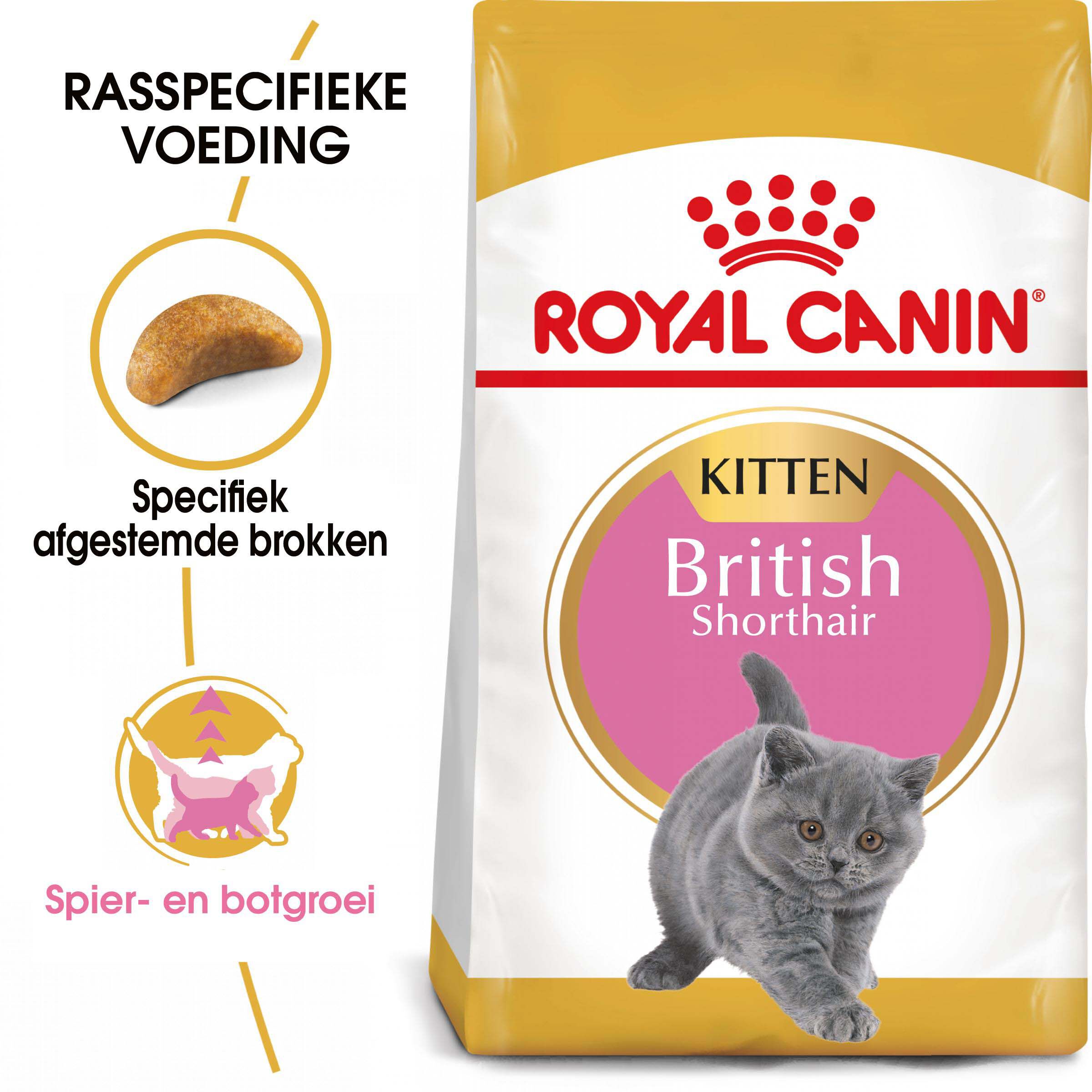 Royal Canin Britse Korthaar Kitten - Kattenvoer - 10 - Gevogelte