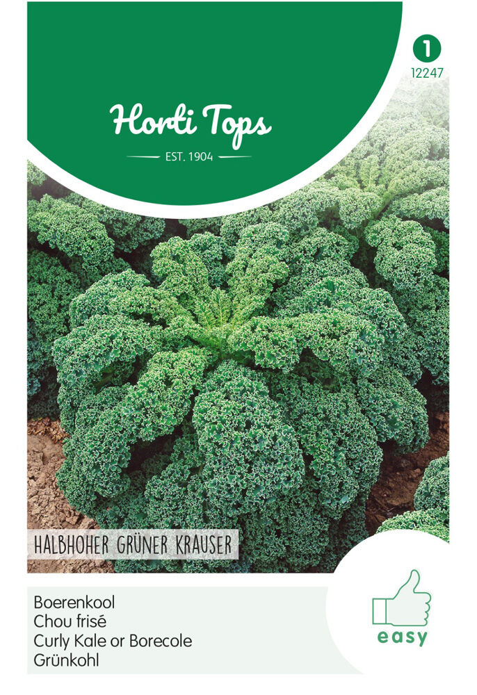 Hortitops Boerenkool Brassica oleracea Vert Demi-Nain / Middelhoge Fijne Krul - Groentezaden Hortitops Boerenkool Brassica oleracea Vert Demi-Nain / Middelhoge Fijne Krul - Groentezaden