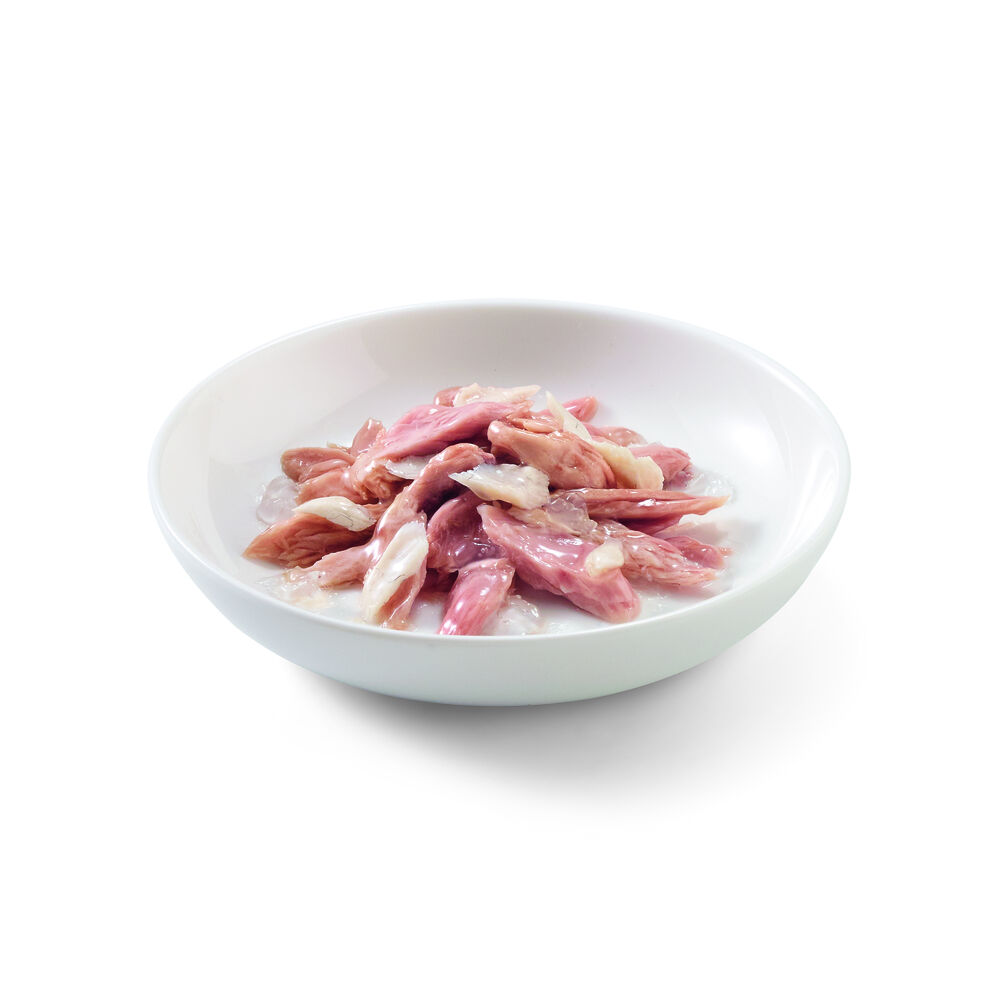 Schesir - Kattenvoer - 85 - tonijn en zaagbaars