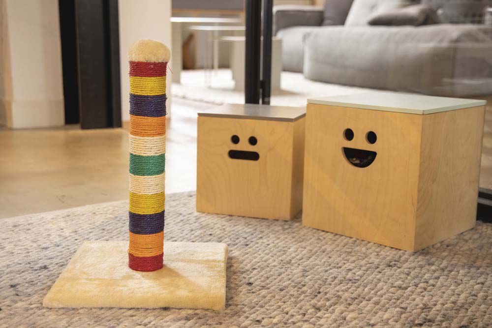 Beeztees Anja - Krabpaal - Multi - 44x28x30 cm