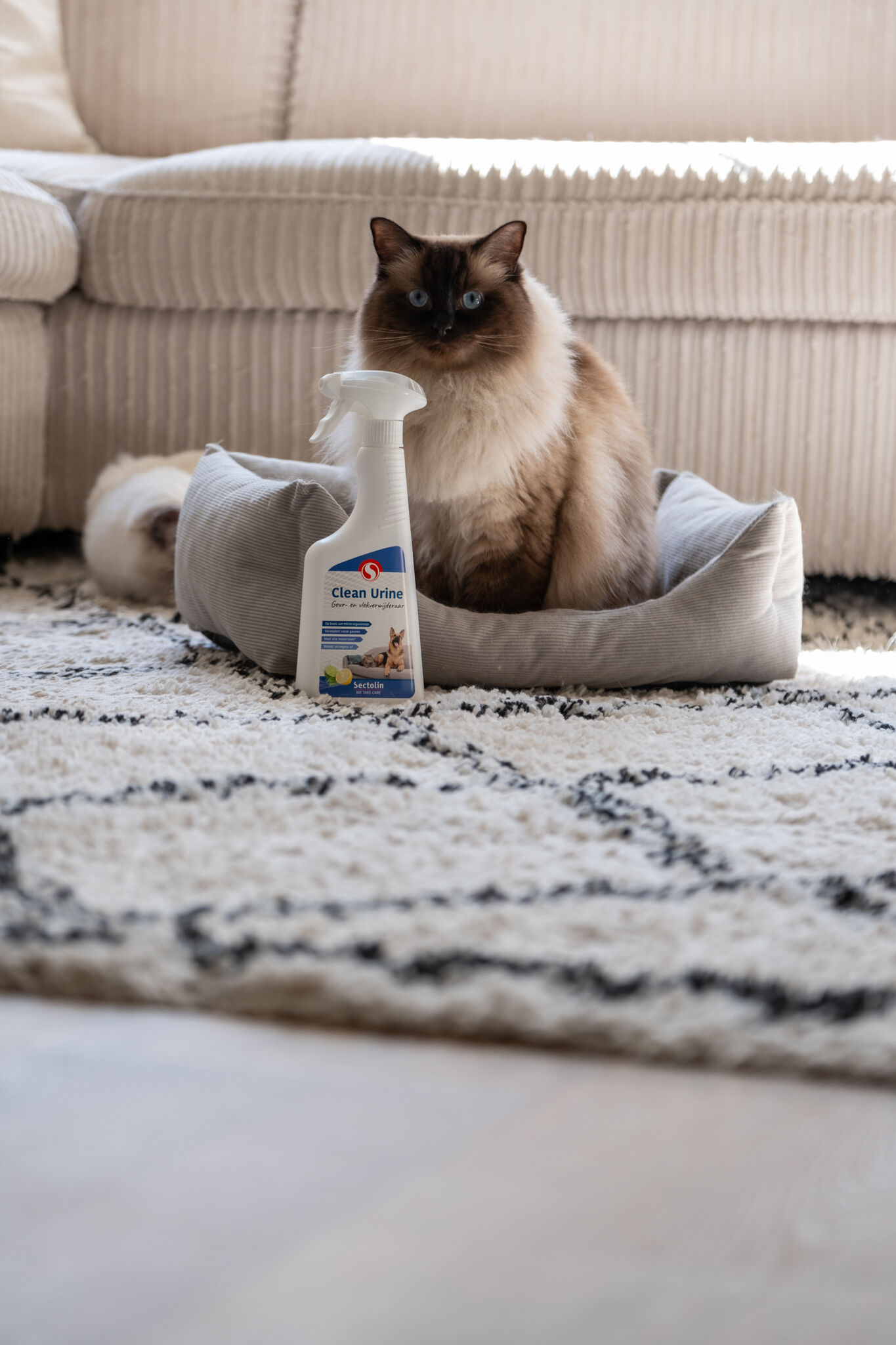 Sectolin Clean Urine - Geur en vlekverwijderaar Urinegeur Hond - 500