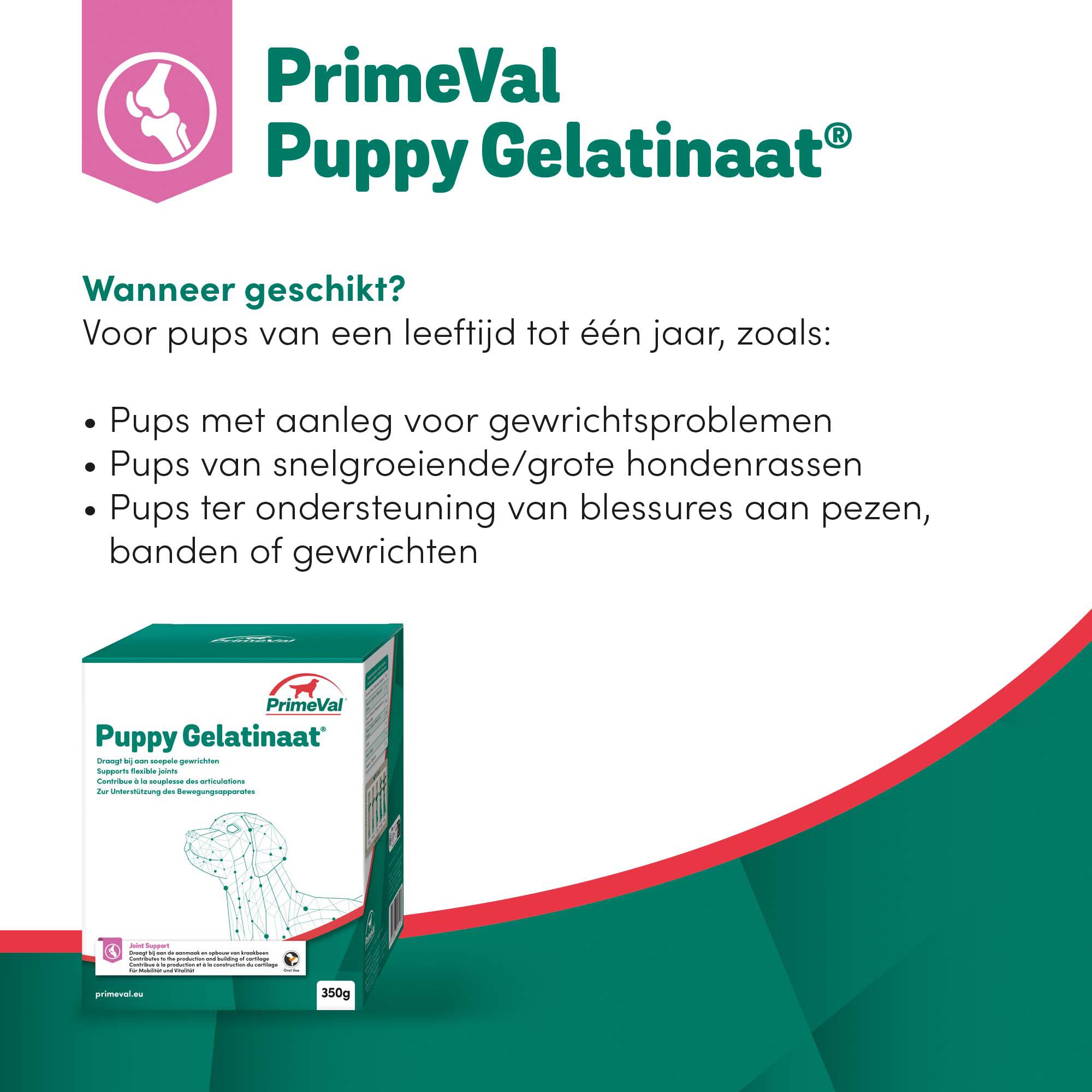 Primeval Gelatinaat Puppy - Voedingssupplement - 350