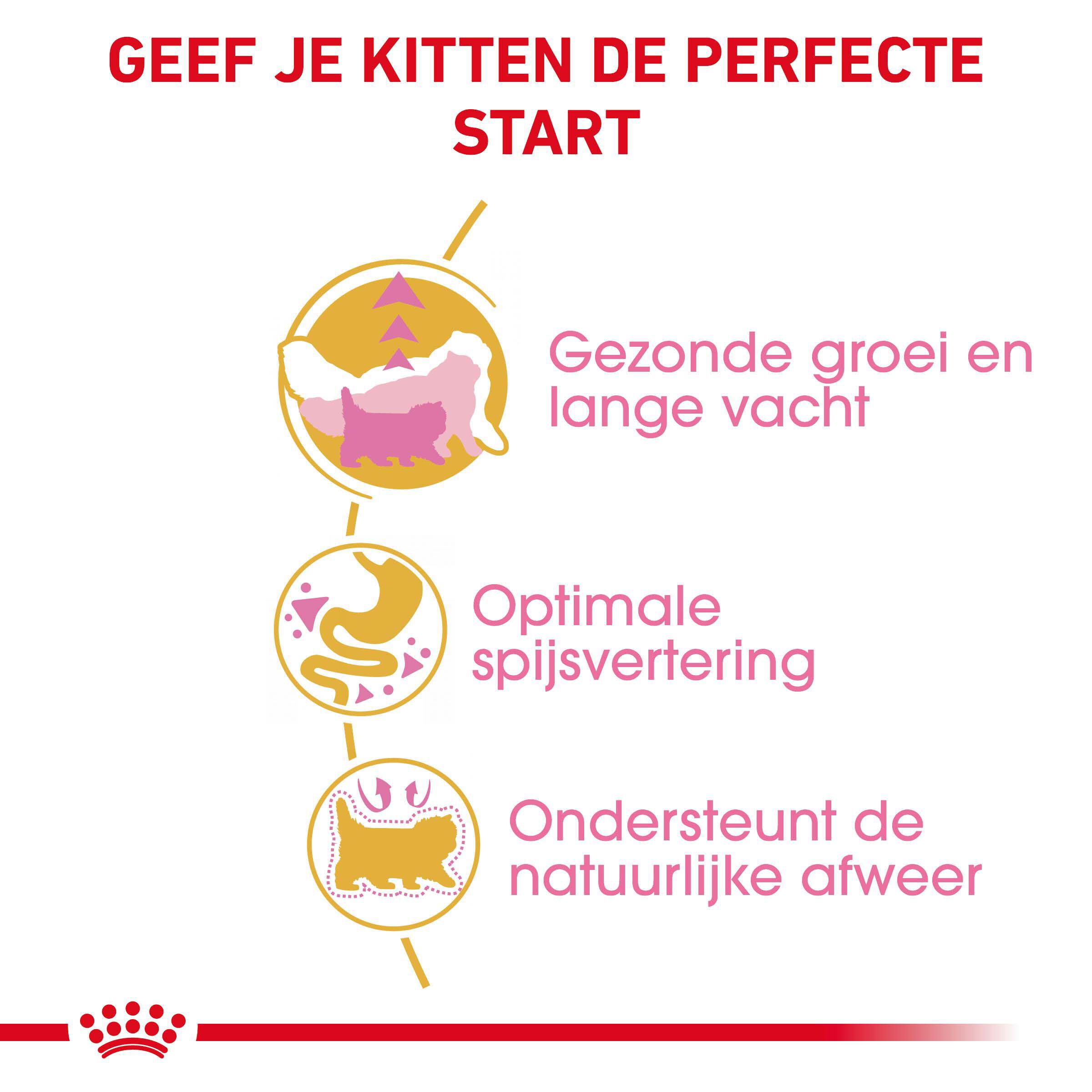 Royal Canin Persian Kitten - Kattenvoer - 2 - Gevogelte