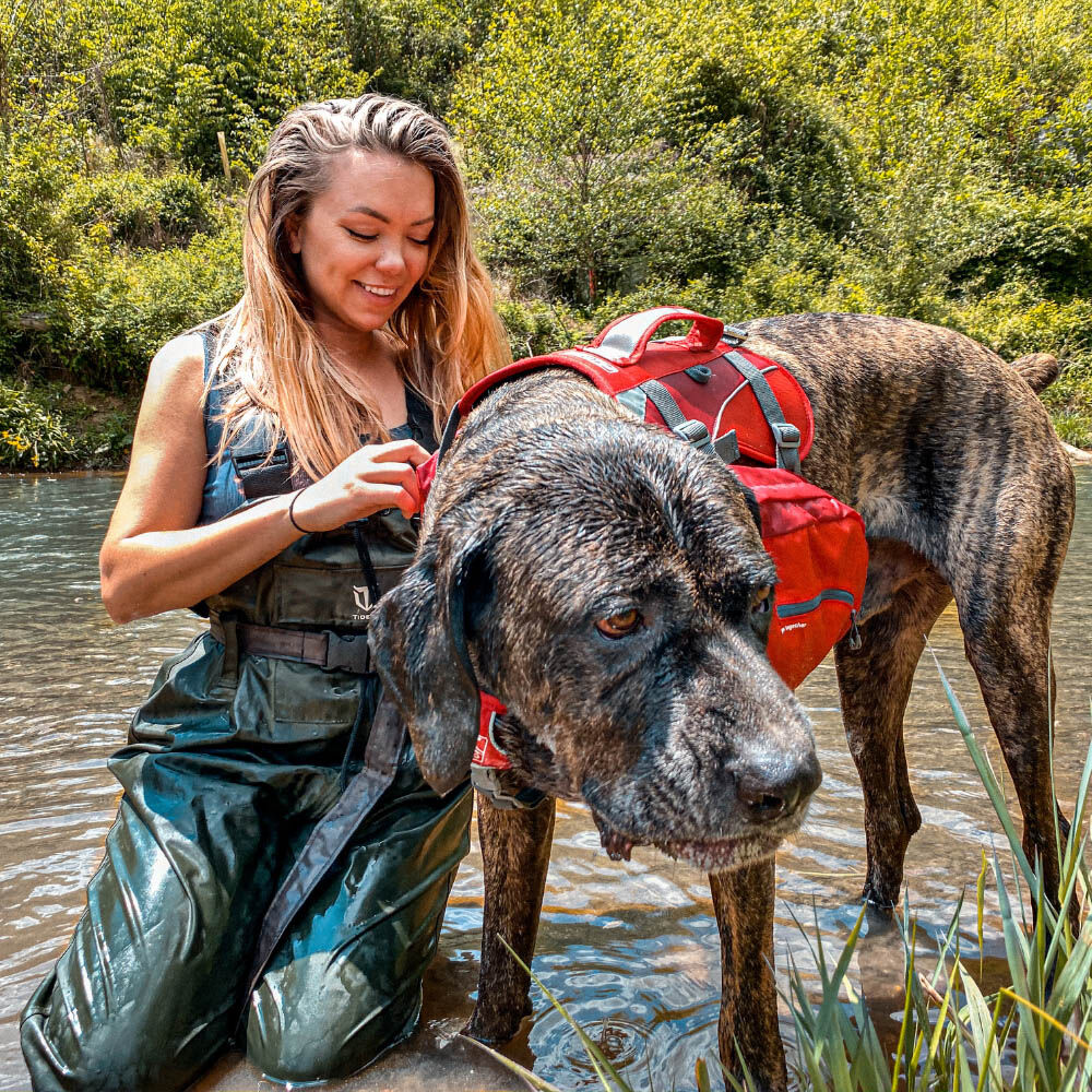 Kurgo Big Baxter Hondenrugzak - Reistas