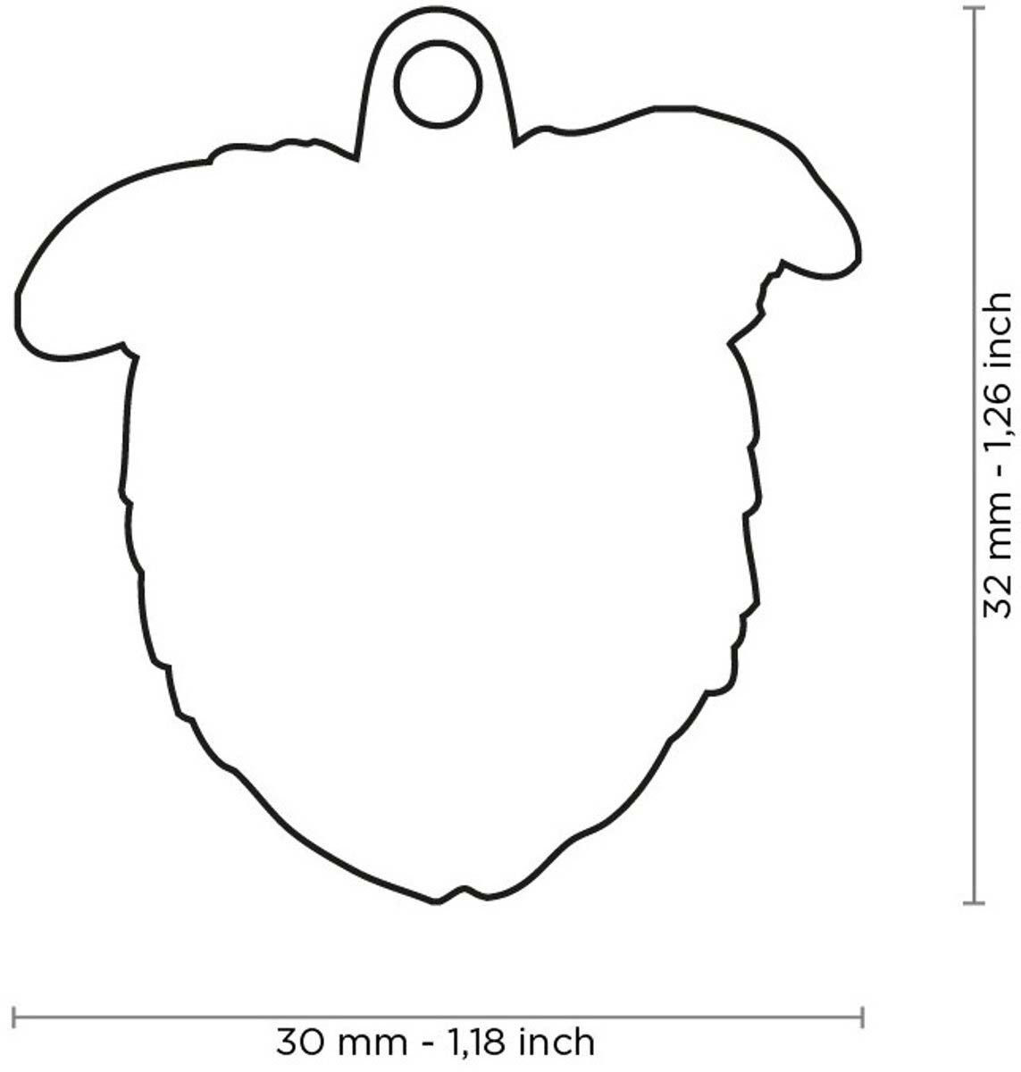 My Family Border Collie - Hondenpenning - Zwart/Wit