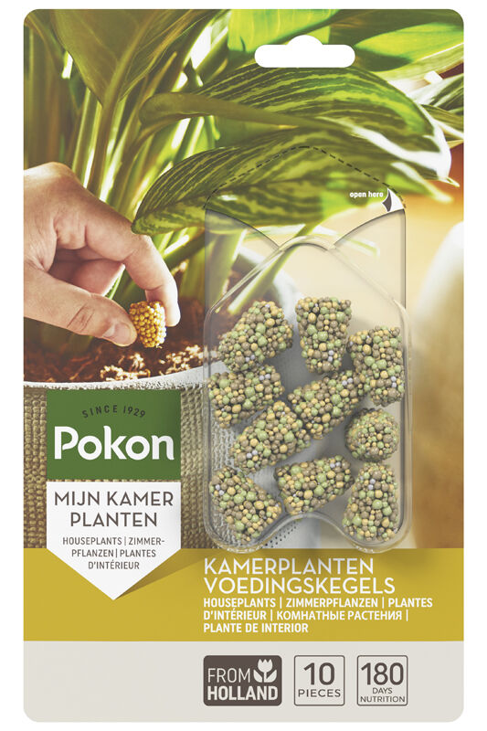 Pokon Kamerplanten voedingskegels - Siertuinmeststof
