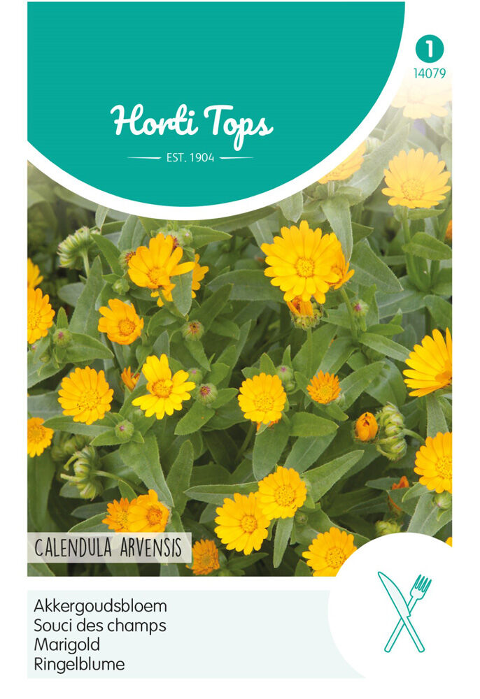 Hortitops Akkergoudsbloem - Bloemzaden Hortitops Akkergoudsbloem - Bloemzaden