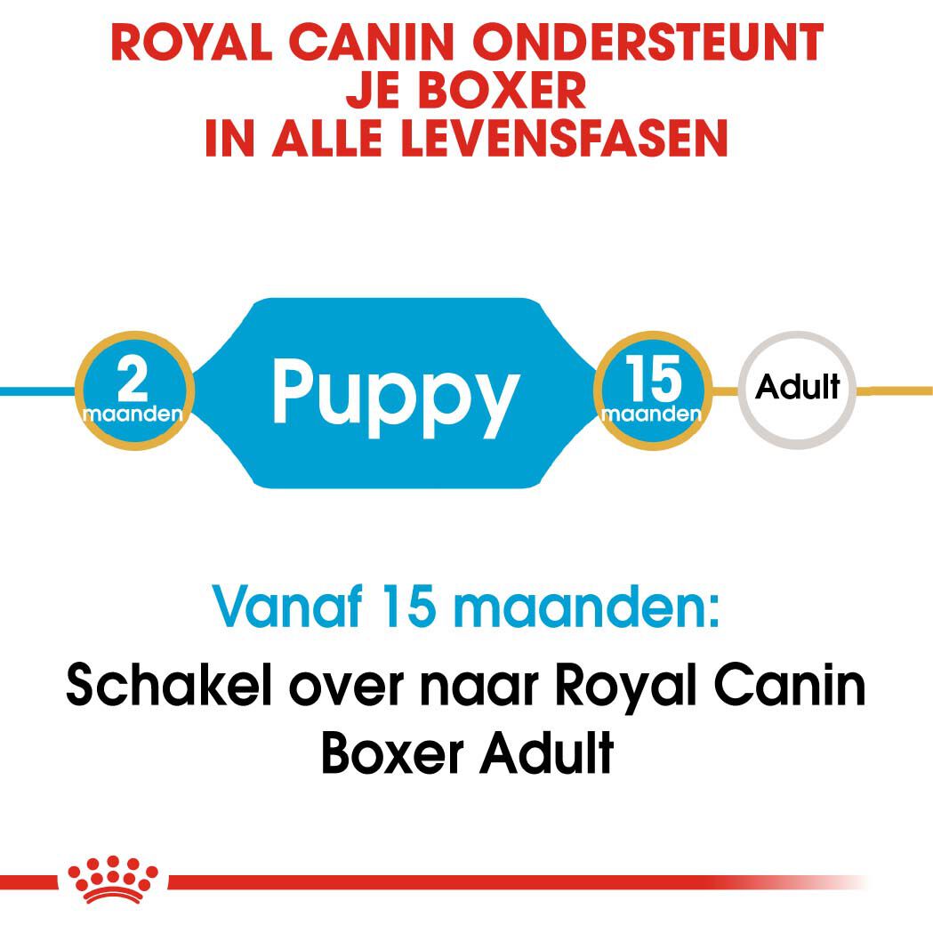 Royal Canin Boxer Junior - Hondenvoer - 3 - gevogelte