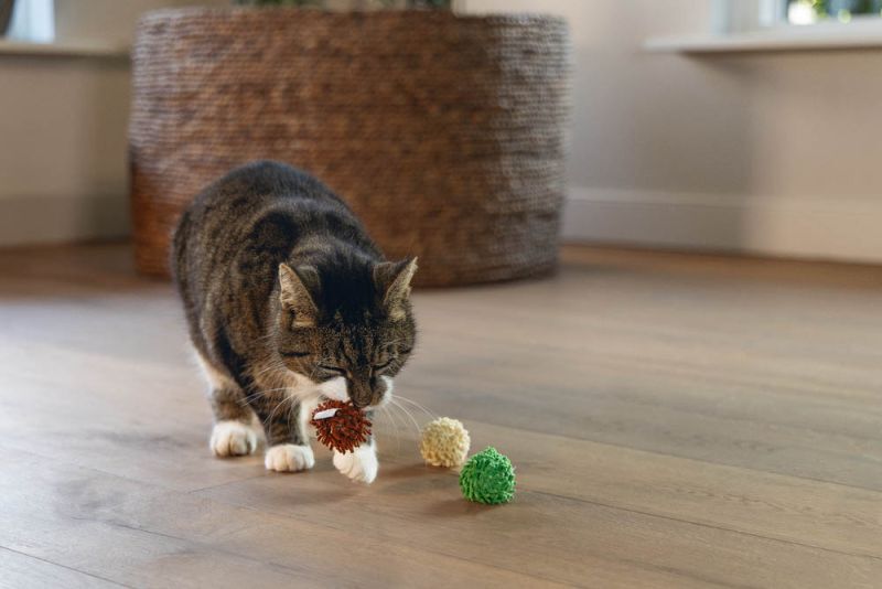 Beeztees Balletje Ruffles - Kattenspeeltje - Multi