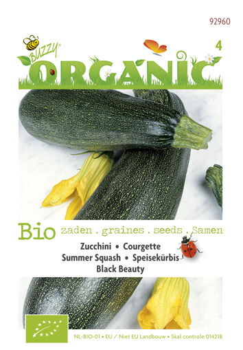 Buzzy Courgette Cucurbita pepo Black Beauty - Courgette Buzzy Courgette Cucurbita pepo Black Beauty - Courgette