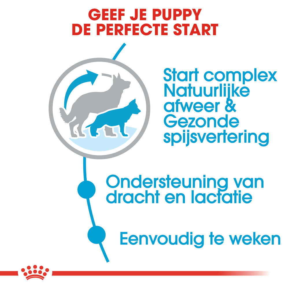 Royal Canin Maxi Starter Mother and Babydog - Hondenvoer - 15 - gevogelte