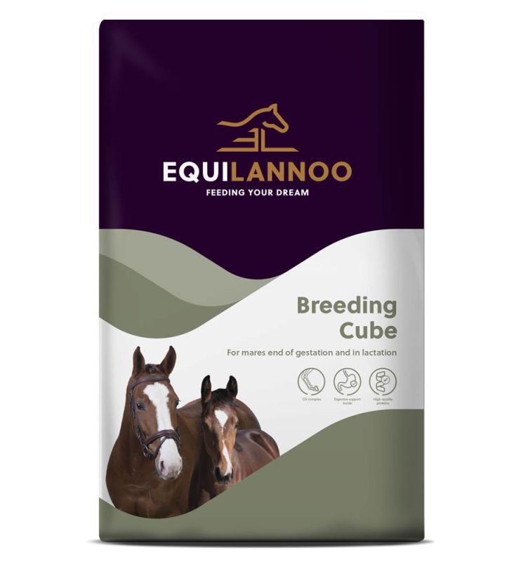 Equilannoo Breeding Cube - Fokkerij Equilannoo Breeding Cube - Fokkerij