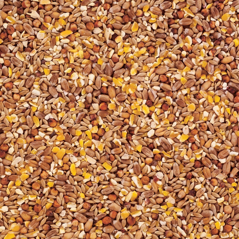 Welkoop Gemengd graan - Watervogelvoer - 20
