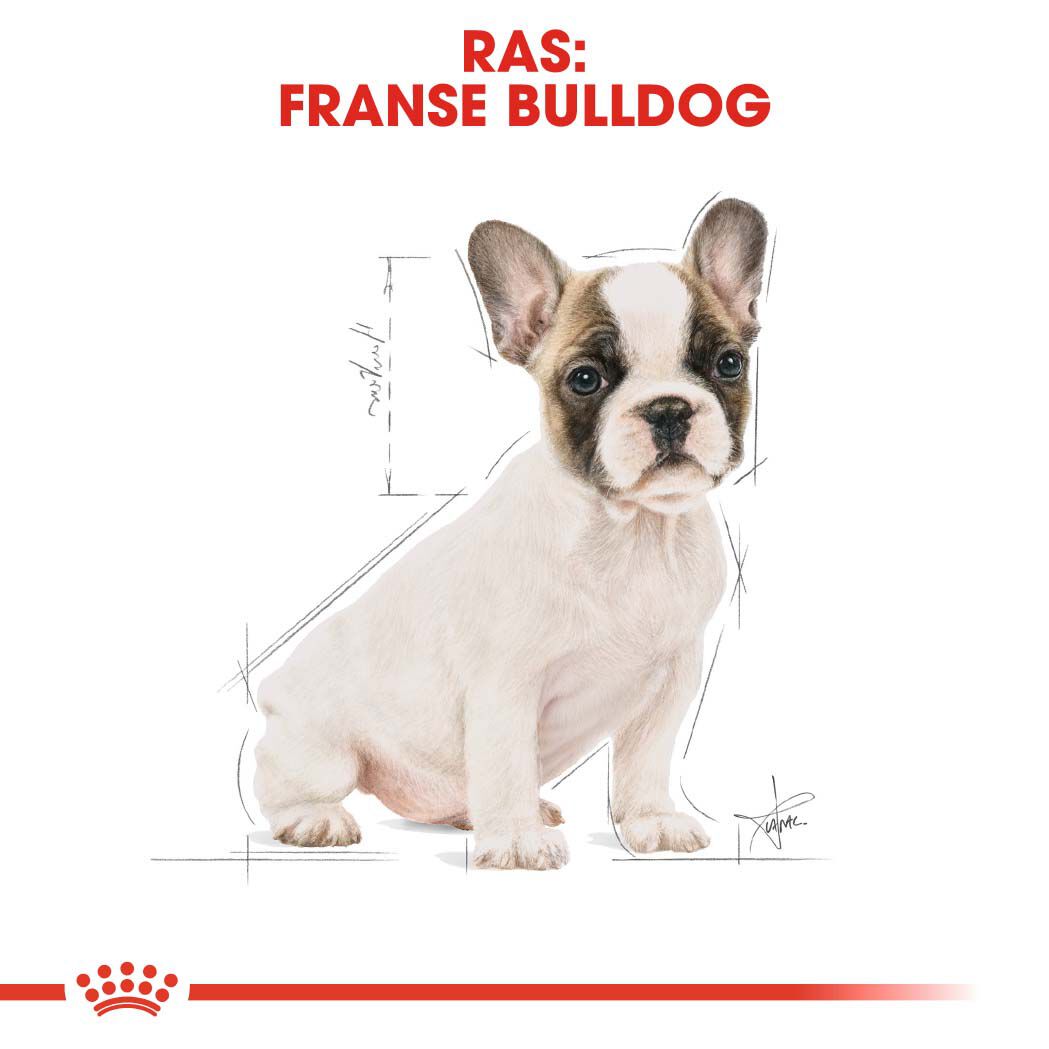 Royal Canin Franse Bulldog Puppy - Hondenvoer - 3 - gevogelte