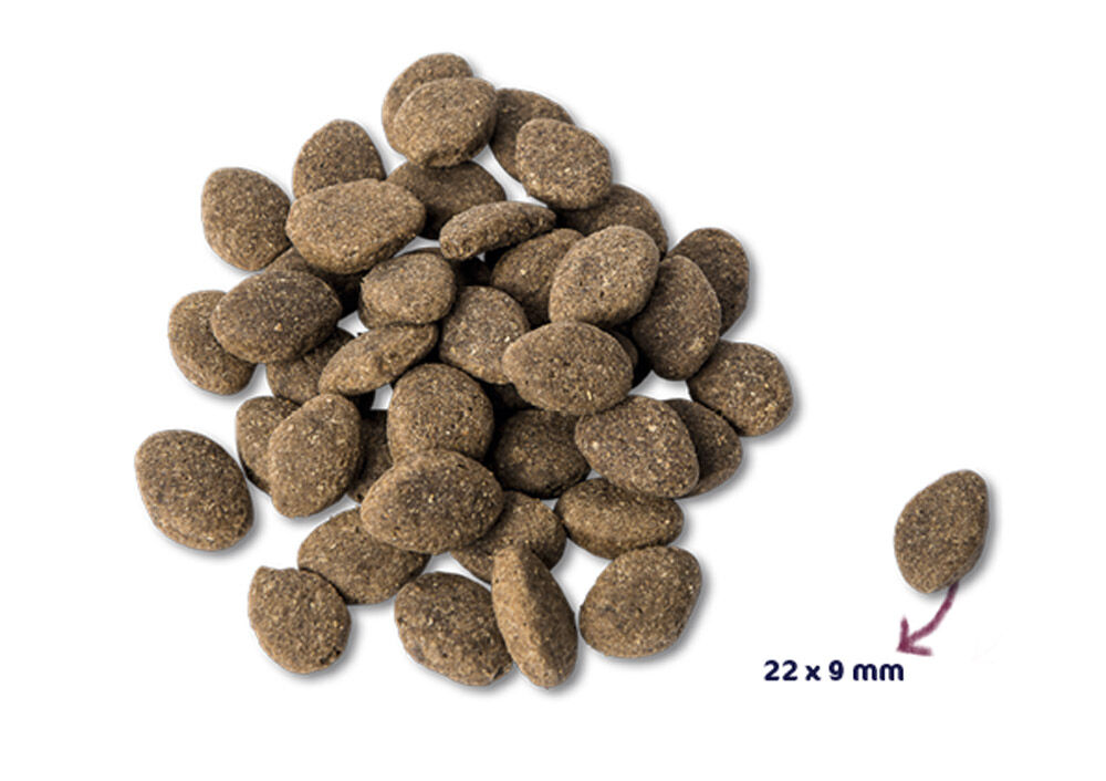 Renske Adult - Hondenvoer - 12.00 - aardappel, groente, lam