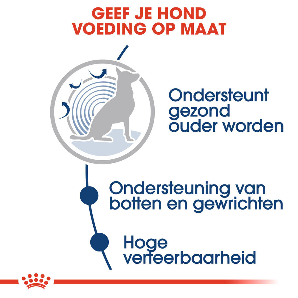 Royal Canin Maxi Ageing - Hondenvoer - 140 - gevogelte