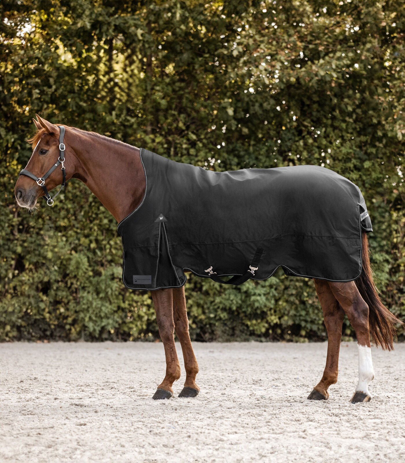 Waldhausen Arctic Hoge nek 200 gr - Winterdeken - Paardendeken