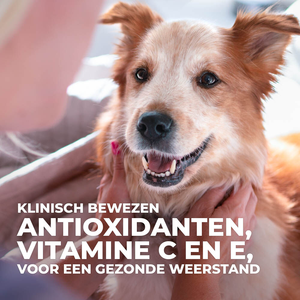 Hill's Science Plan Adult Small & Mini Hypoallergeen - Hondenvoer - Zalm - Tonijn - 1,5 kg