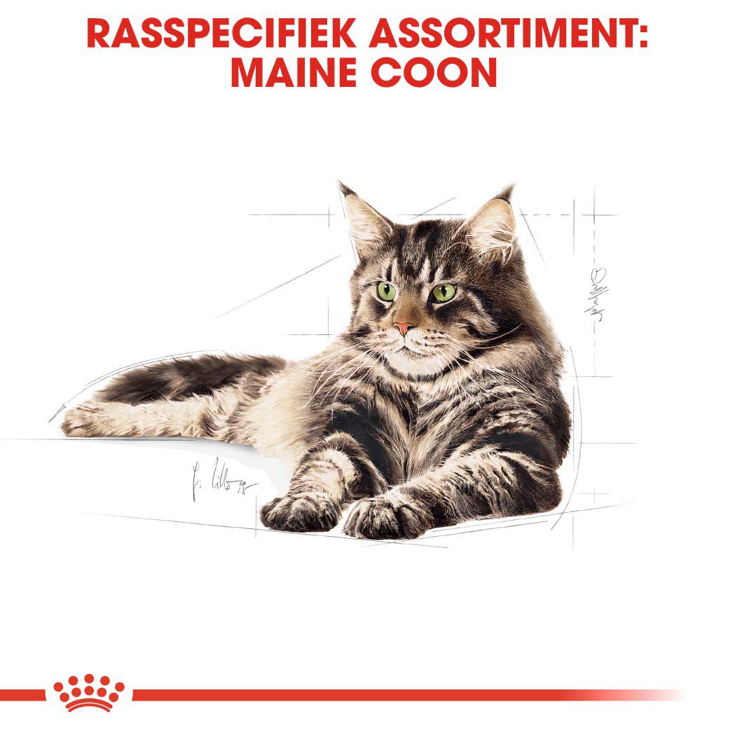 Royal Canin Maine Coon Adult - Kattenvoer - 4 - Gevogelte