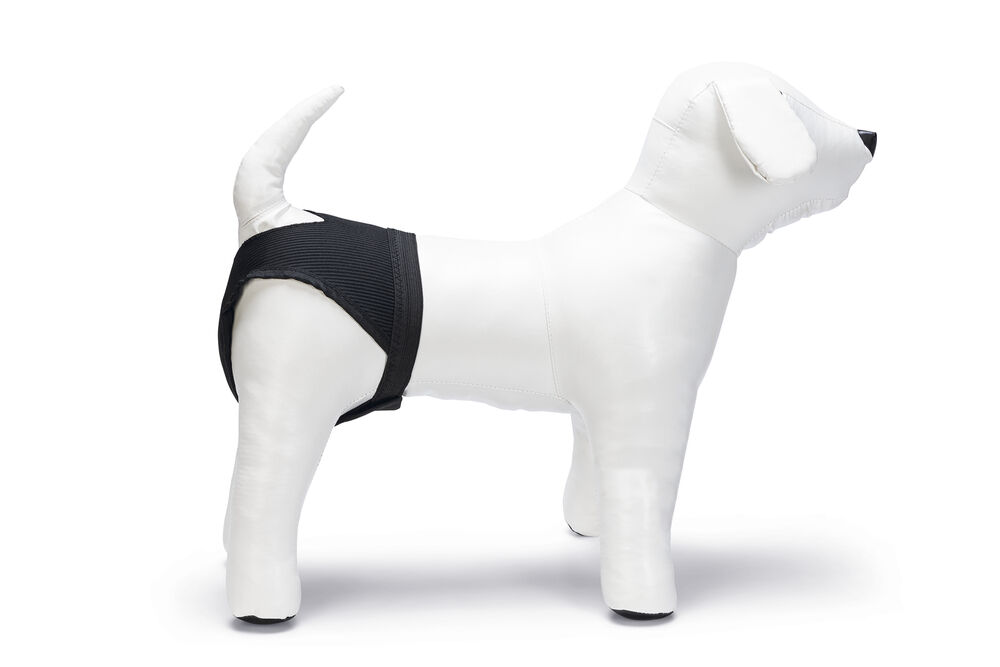 Beeztees - Loopsheidbroekje - Hond - 23.50 cm - Zwart - 11.00 cm - L - 1.50 cm