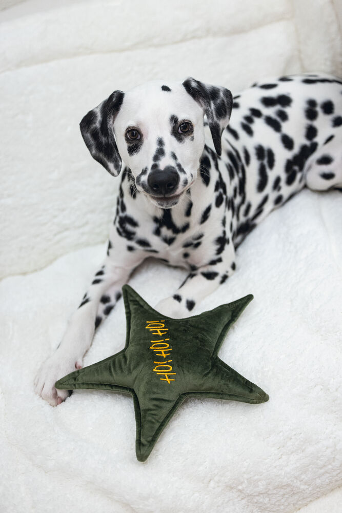 Designed By Lotte Kerstster - Knuffel - Hondenspeelgoed - groen - 29x27x27 cm