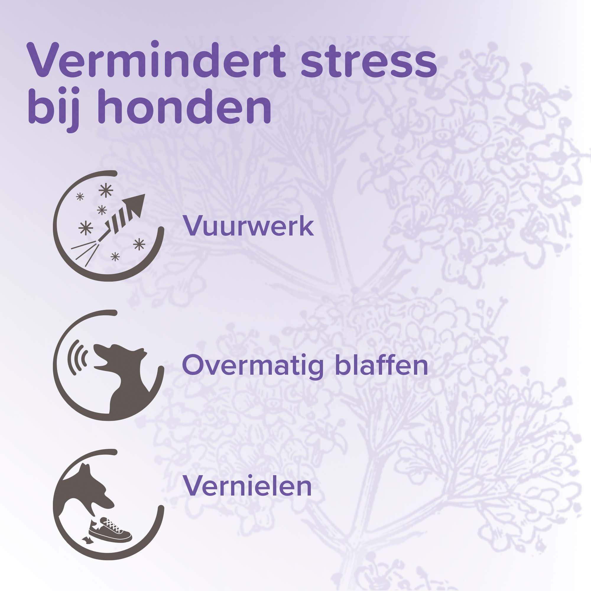 Beaphar No Stress Hond  - Kalmeringsmiddel