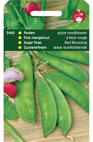 Hortitops Peulen Pisum sativum Grijze Roodbloeiers - Groentezaden