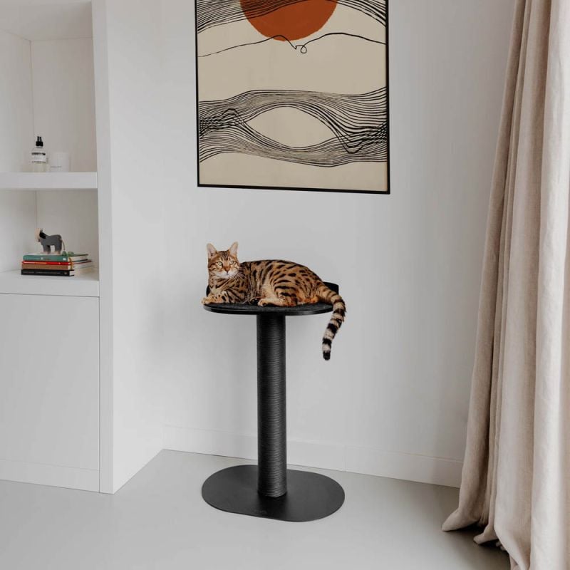 District 70 OASIS 80 - Krabpaal - 80.00 cm - Zwart - 35.00 cm - 74.00 cm