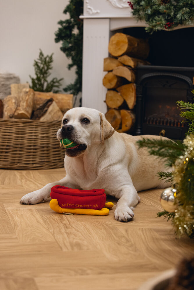 Beeztees Kerstslee Hide and Seek - Denkspel - Puzzel - Hondenspeelgoed - rood