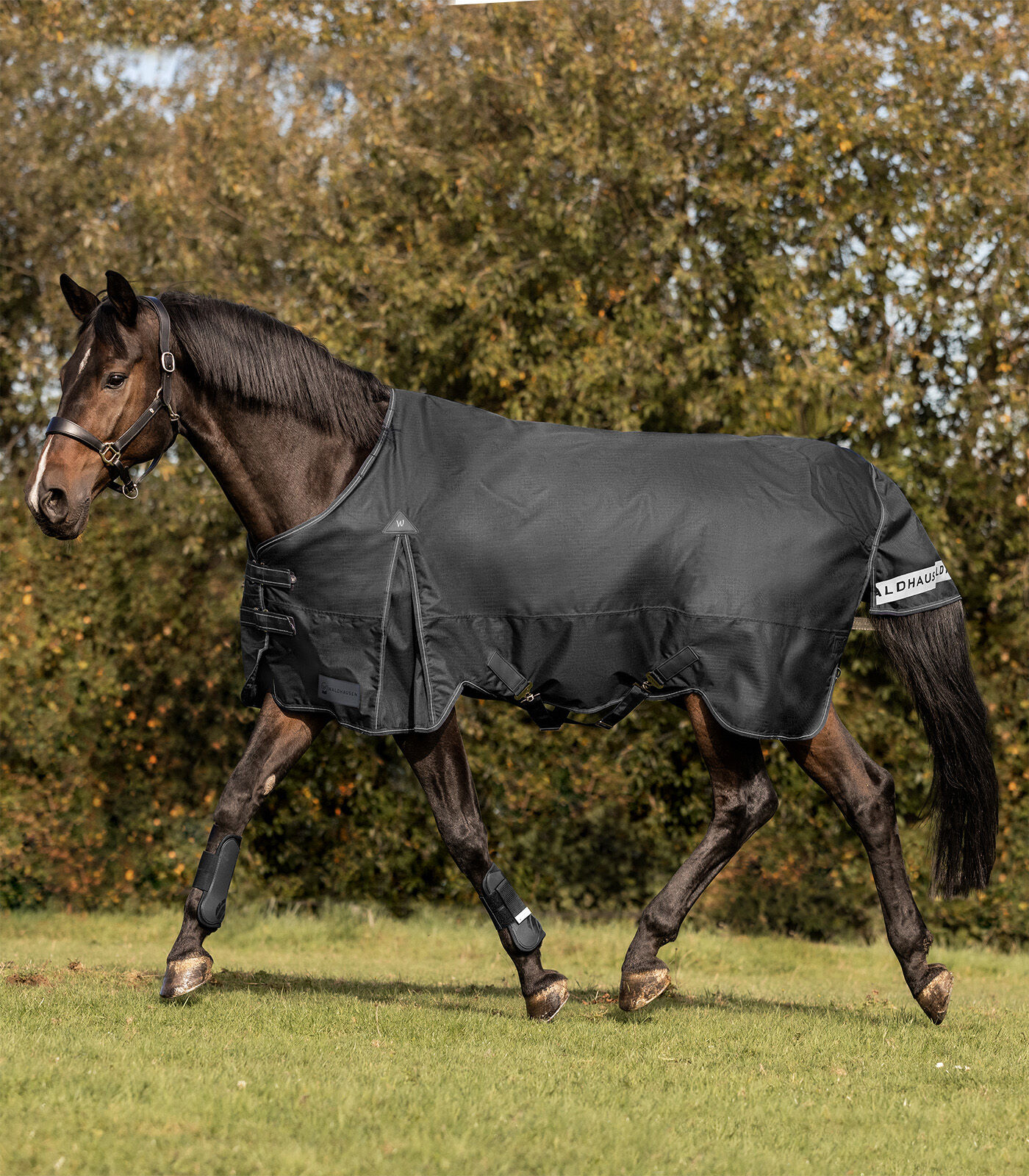 Waldhausen Arctic 300 gr - Winterdeken - Paardendeken - 1.00 cm - Zwart - 1.00 cm - 115/165 - 1.00 cm