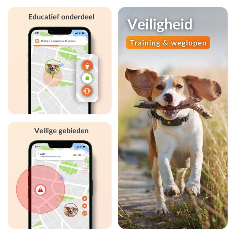 Weenect XT - Halsband met GPS tracker