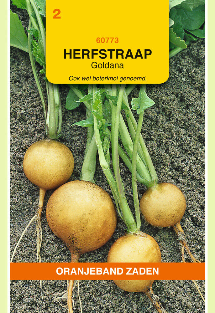 Oranjeband zaden Rapen Goldana - Groentezaden Oranjeband zaden Rapen Goldana - Groentezaden