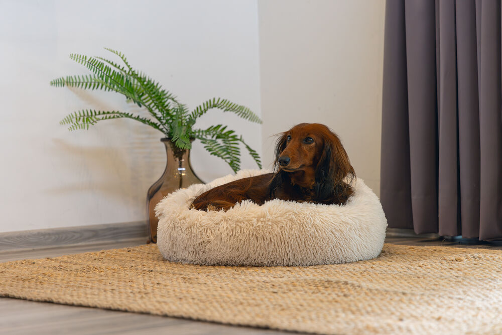 Beeztees Yala - Hondenmand - Beige - 20x50x50 cm - Klein