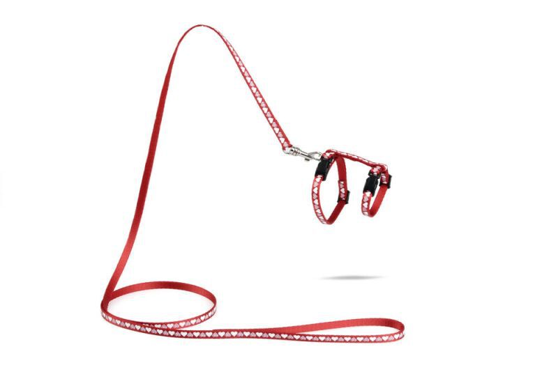 BEEZTEES Hearts - Kittentuigje - 20.50 cm - Rood - 10 mm - 14.00 cm - 100.00 cm - 3.00 cm