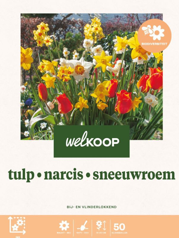 Welkoop Tulp Narcis Sneeuwroem - Biodiversiteit - Bloembollen Welkoop Tulp Narcis Sneeuwroem - Biodiversiteit - Bloembollen