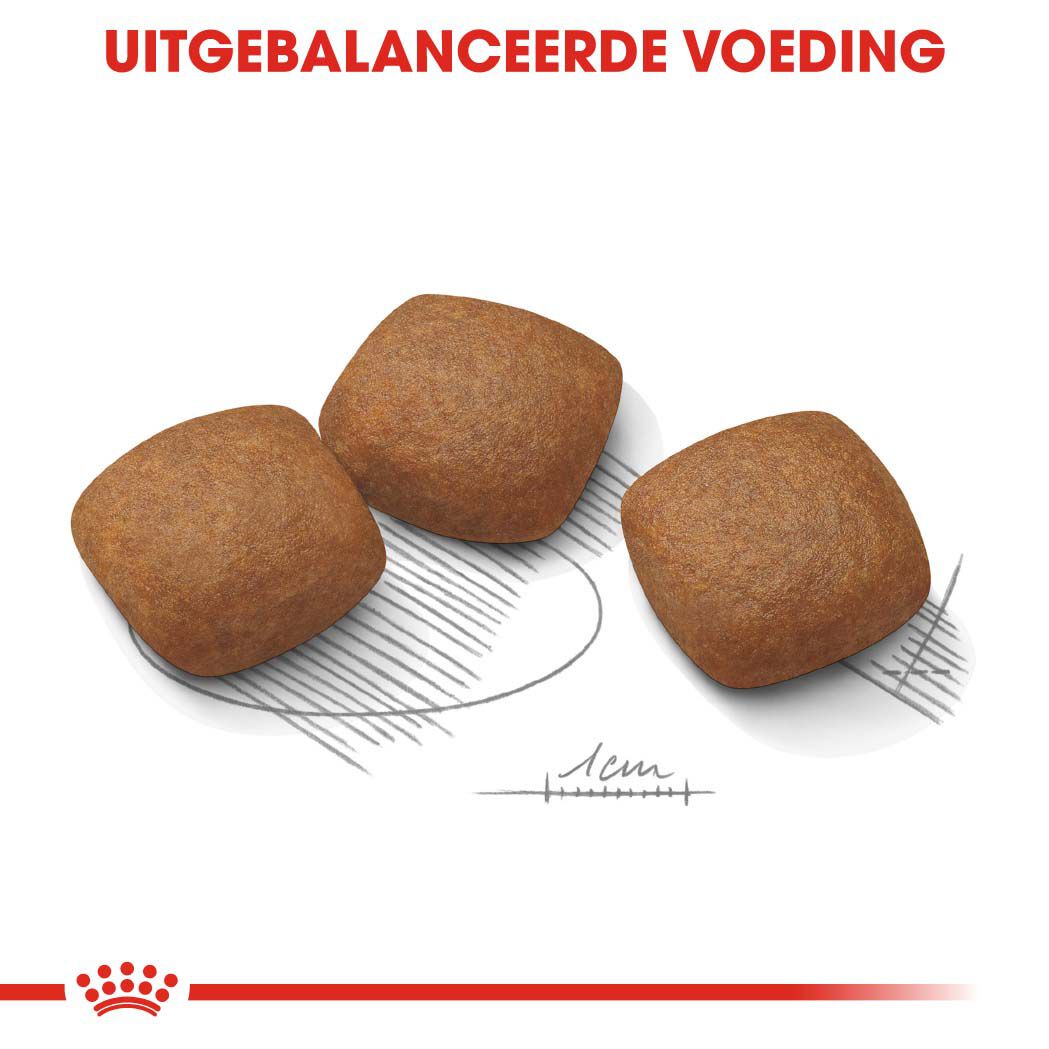 Royal Canin Joint Care Maxi - Hondenvoer - 10 - gevogelte
