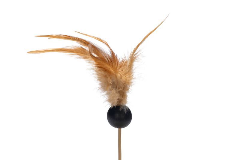 Designed by Lotte Winni - Kattenspeeltje