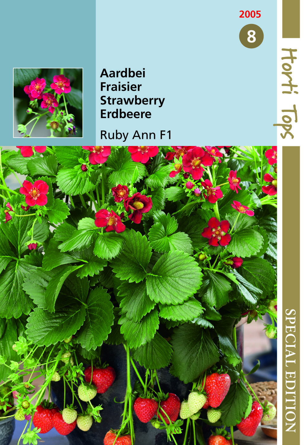 Hortitops Hangaardbeien Ruby Ann F1 Fragaria x ananassa - Groentezaden Hortitops Hangaardbeien Ruby Ann F1 Fragaria x ananassa - Groentezaden