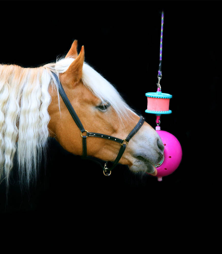LIKIT Boredom Breaker - Paardenspeelgoed - Roze